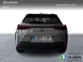 Thumbnail 4 del Lexus UX 250h UX250H BUSSINES 2WD