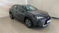 Thumbnail 12 del Lexus UX 300E UX300e Business