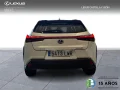 Thumbnail 3 del Lexus UX 250h BUSSINESS 2WD