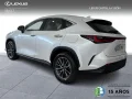 Thumbnail 3 del Lexus NX 350h NX350H BUSSINES CITY