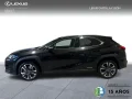 Thumbnail 6 del Lexus UX 250h UX250H PREMIUM 2WD