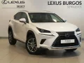 Thumbnail 1 del Lexus NX 300h NX300H EXECUTIVE NAVIGATION 4WD