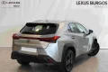 Thumbnail 4 del Lexus UX 250h UX250H BUSSINES 2WD